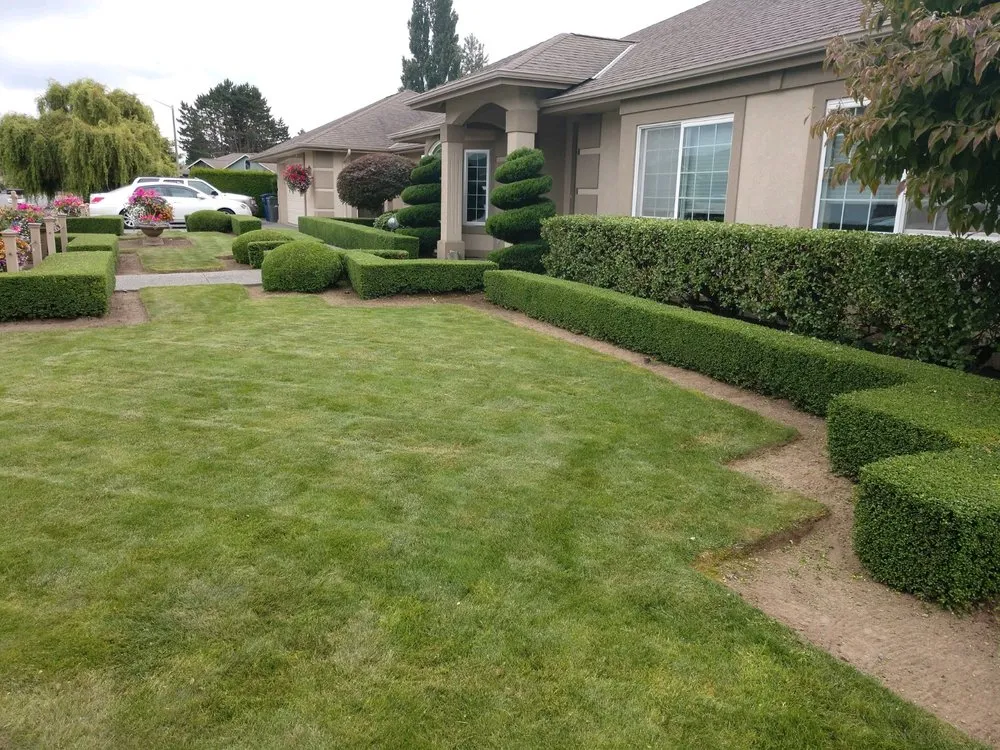 Reliable yard maintenance in Mount Vernon, WA by Chavez Landscape