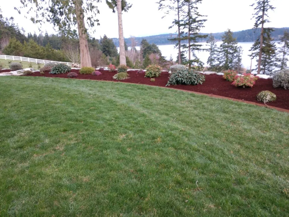 Professional yard maintenance in Mount Vernon, WA - Chavez Landscape