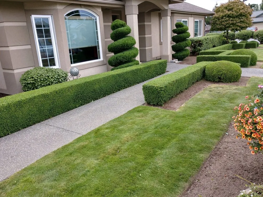 Expert outdoor landscaping in Mount Vernon, WA by Chavez Landscape
