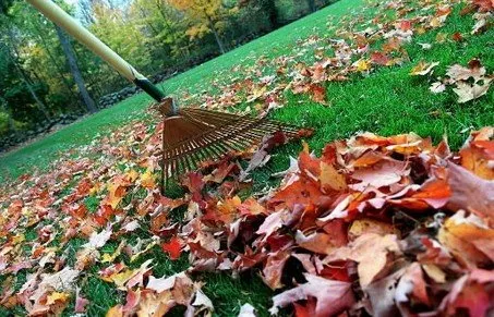 Reliable yard cleanup service for homes in Alexandria, VA by Chavez Landscaping