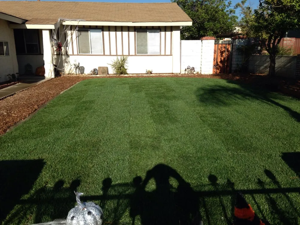 Affordable yard cleanup service in Escondido, CA by Chavez Landscaping and Maintenance