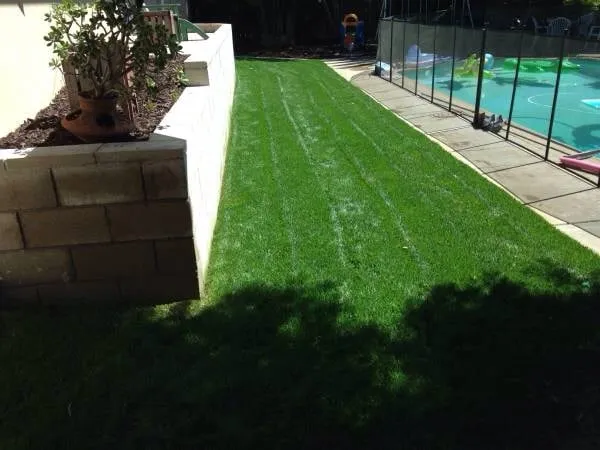 Affordable yard cleanup service for outdoor upgrades in Escondido, CA by Chavez Landscaping and Maintenance