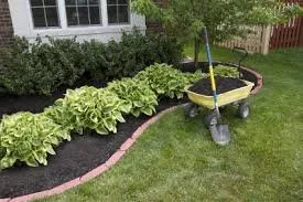 Expert landscape design for year-round maintenance across Baldwin Park, CA - Chavez Landscaping