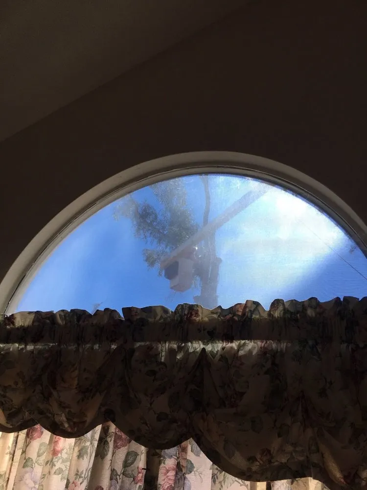 Professional landscape design experts serving Brawley, CA - Chavez Landscaping