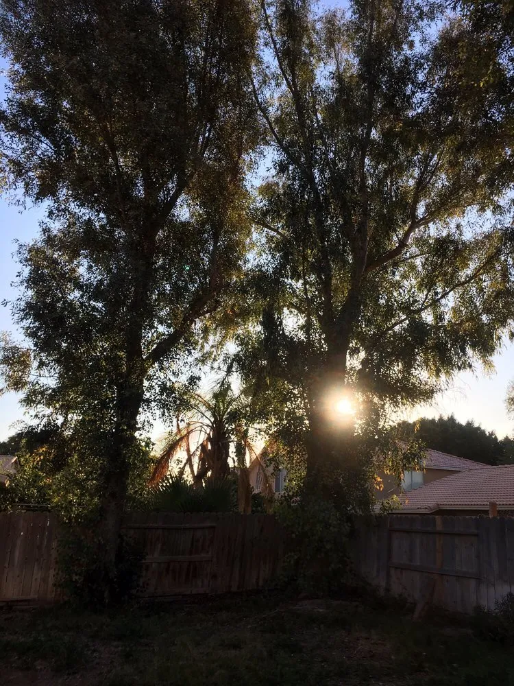 Affordable landscape installation in Brawley, CA by Chavez Landscaping