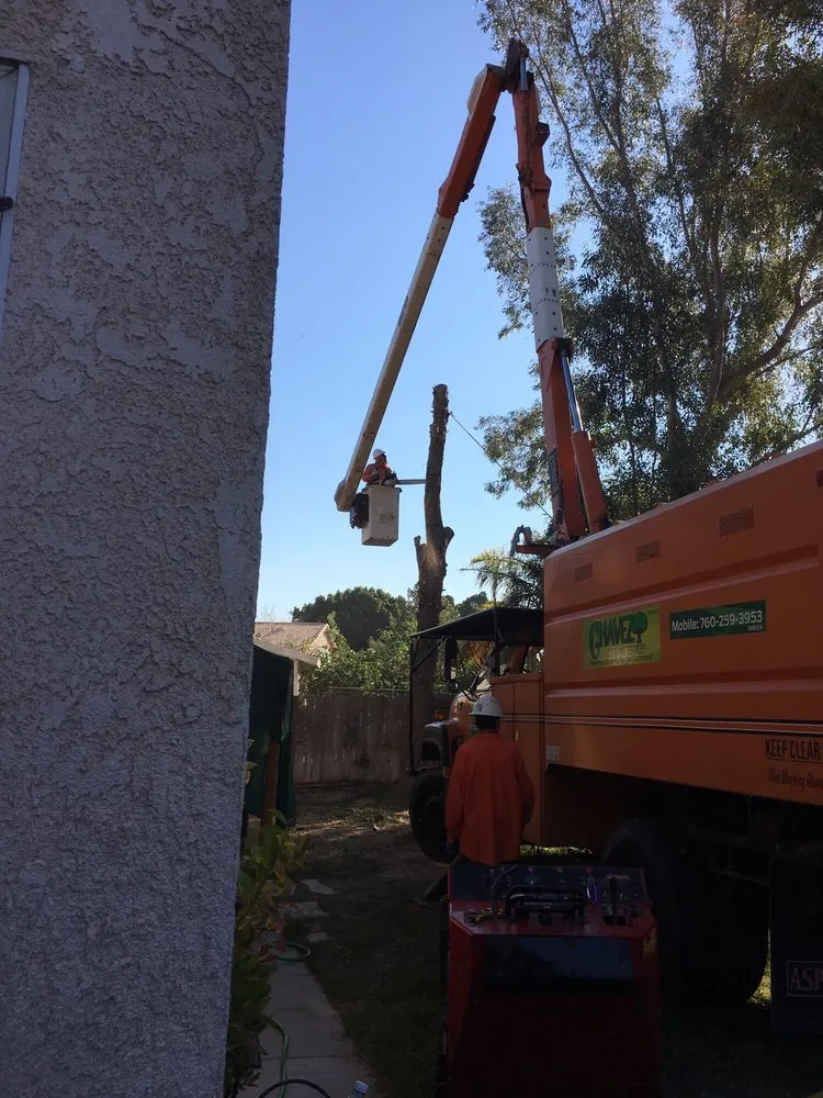 Custom outdoor landscaping in Brawley, CA - Chavez Landscaping