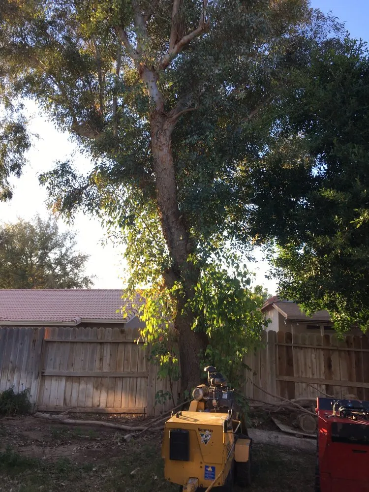 Reliable landscaping services in Brawley, CA by Chavez Landscaping