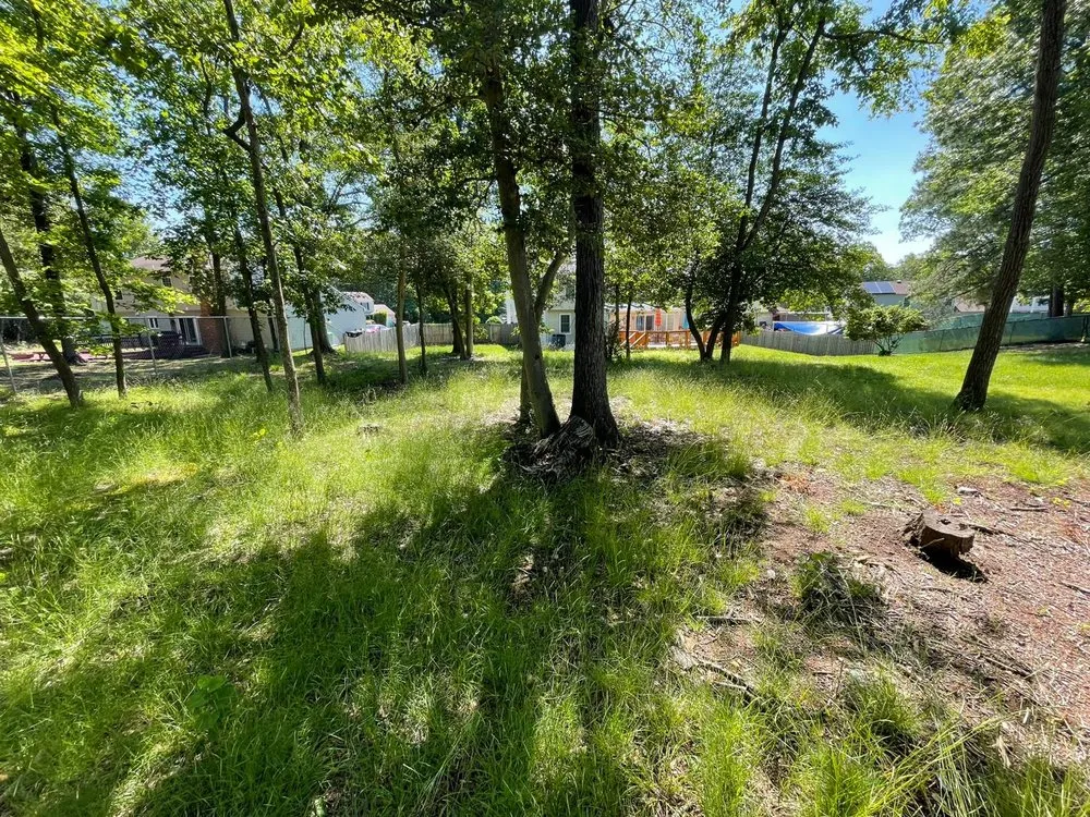 Affordable residential landscaping for outdoor upgrades across Fort Washington, MD - Chavez Landscaping