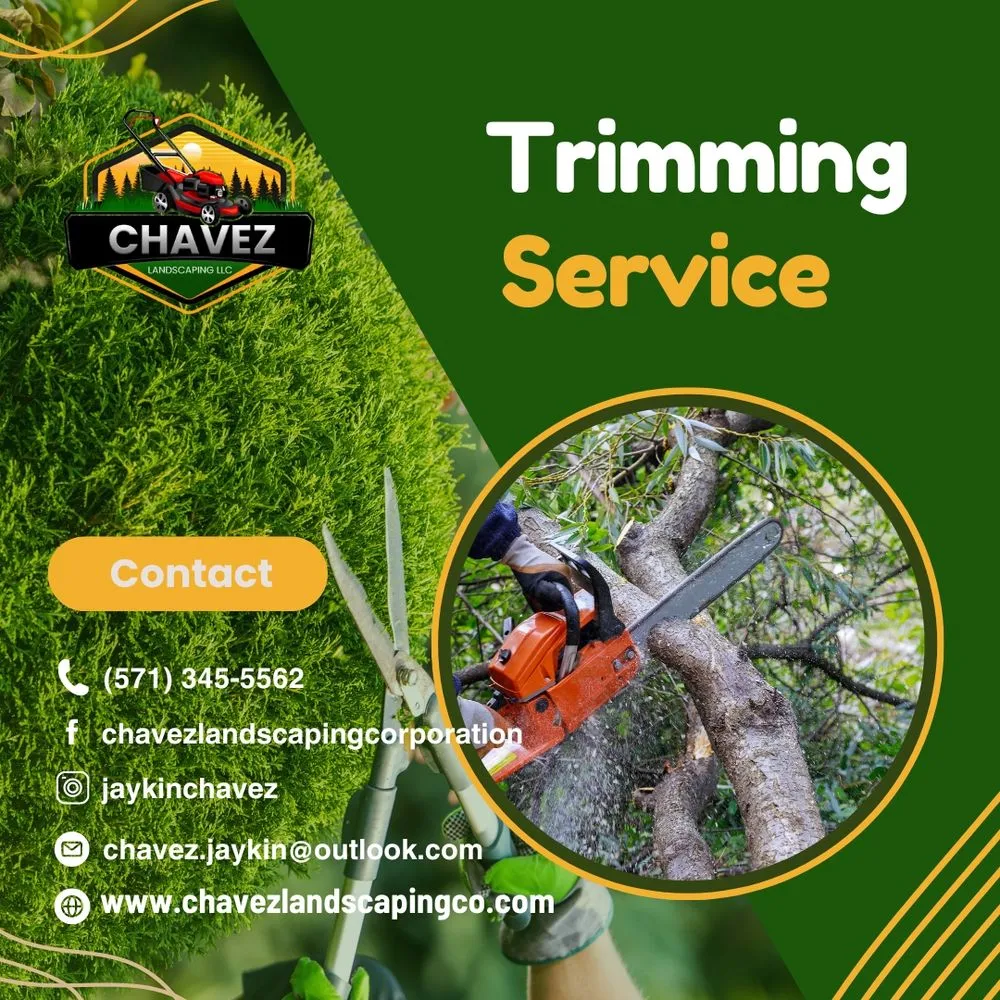 Local residential landscaping in Fort Washington, MD by Chavez Landscaping