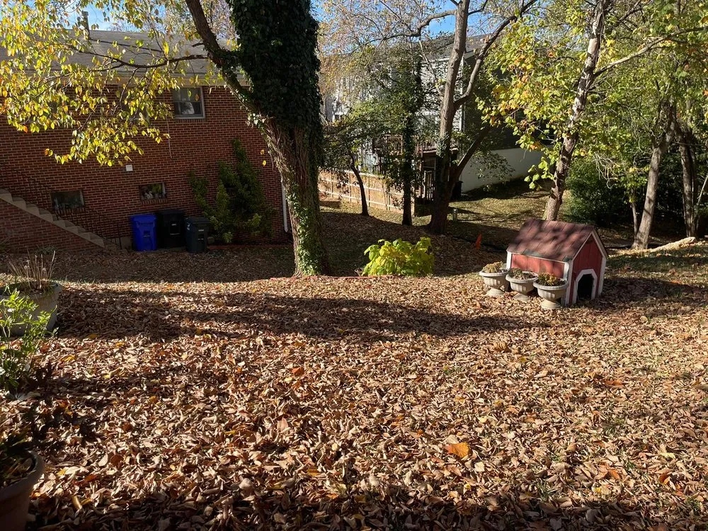 Local garden landscaping experts serving Fort Washington, MD - Chavez Landscaping