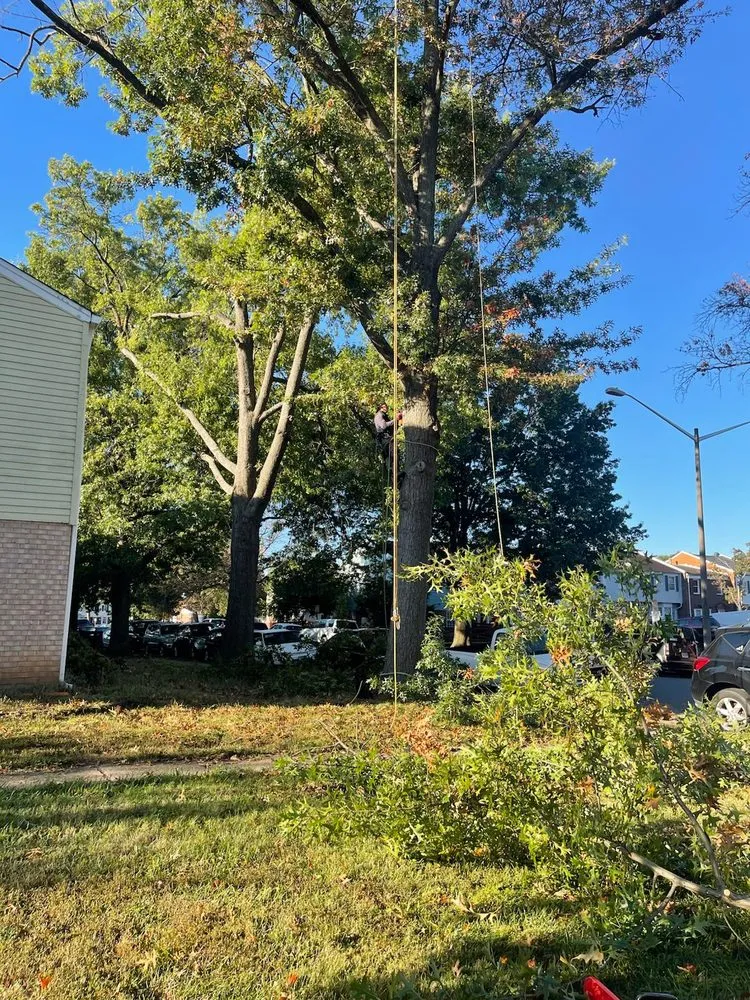 Trusted outdoor landscaping in Fort Washington, MD - Chavez Landscaping