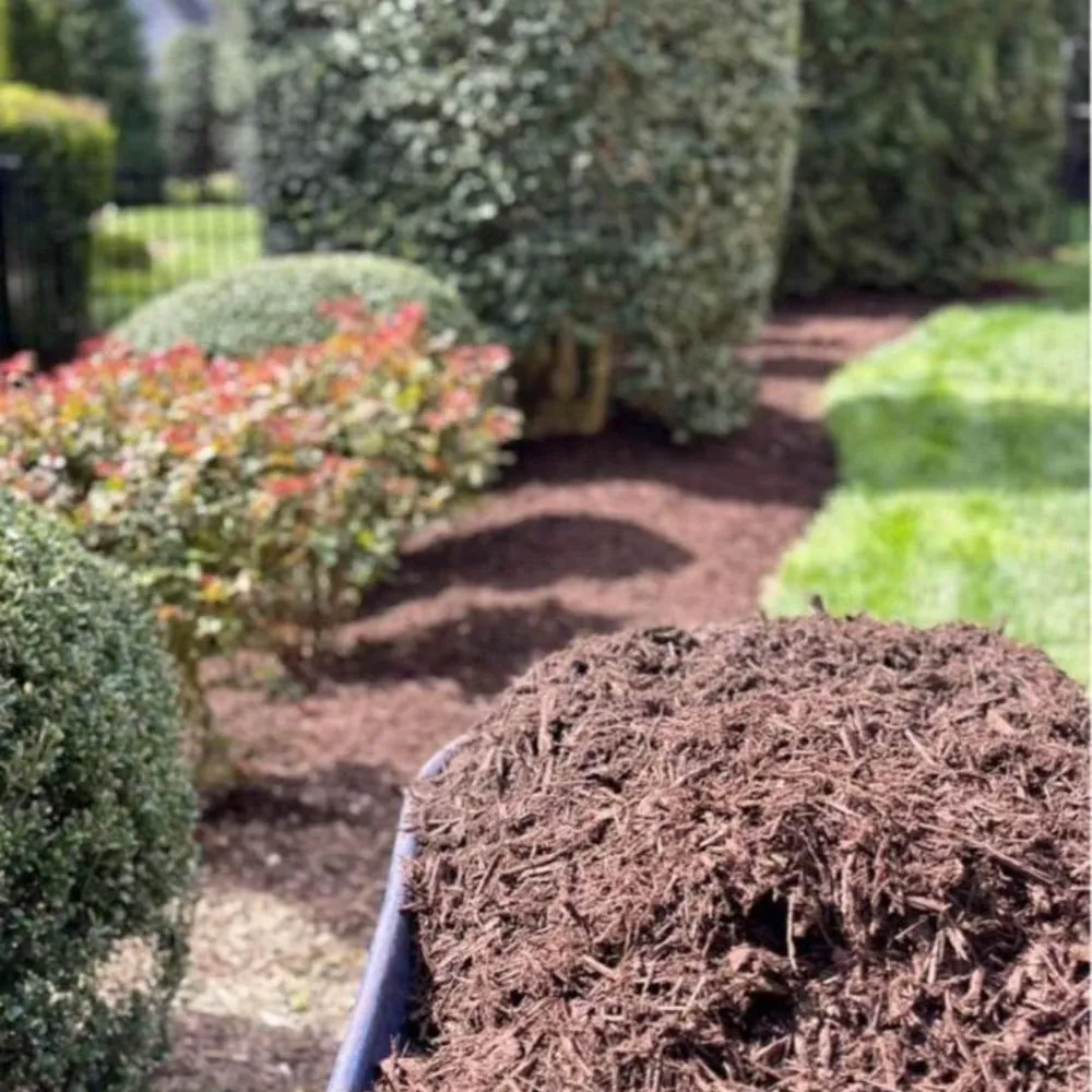 Reliable residential landscaping experts serving Fort Washington, MD - Chavez Landscaping