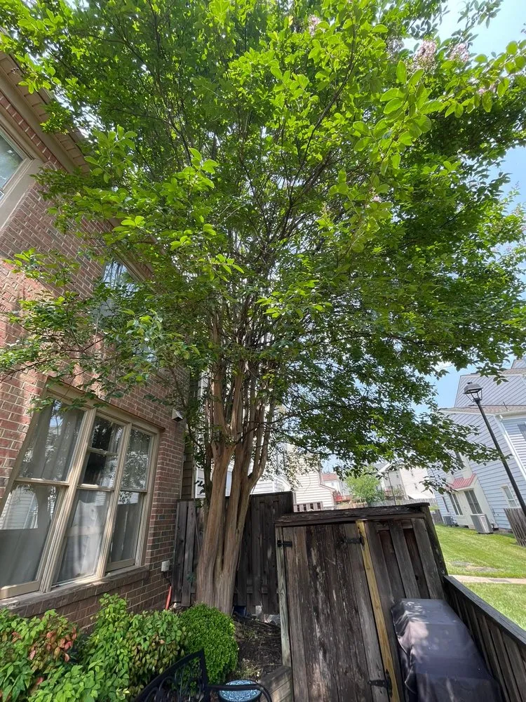 Reliable landscape installation experts serving Fort Washington, MD - Chavez Landscaping