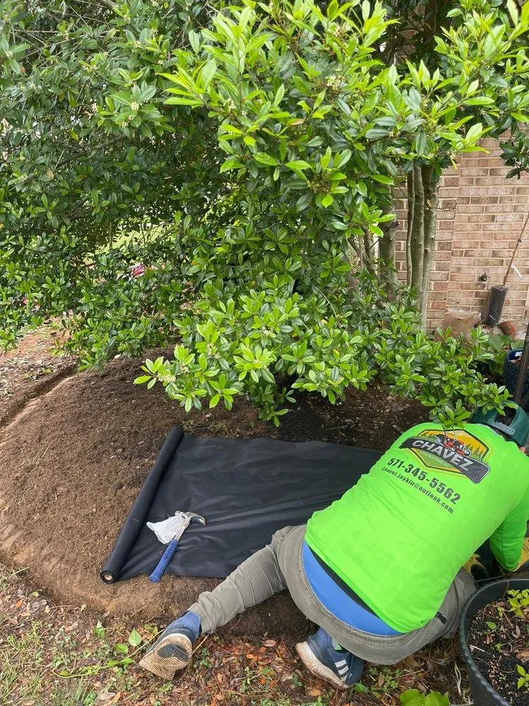 Affordable lawn care service for year-round maintenance in Fort Washington, MD by Chavez Landscaping