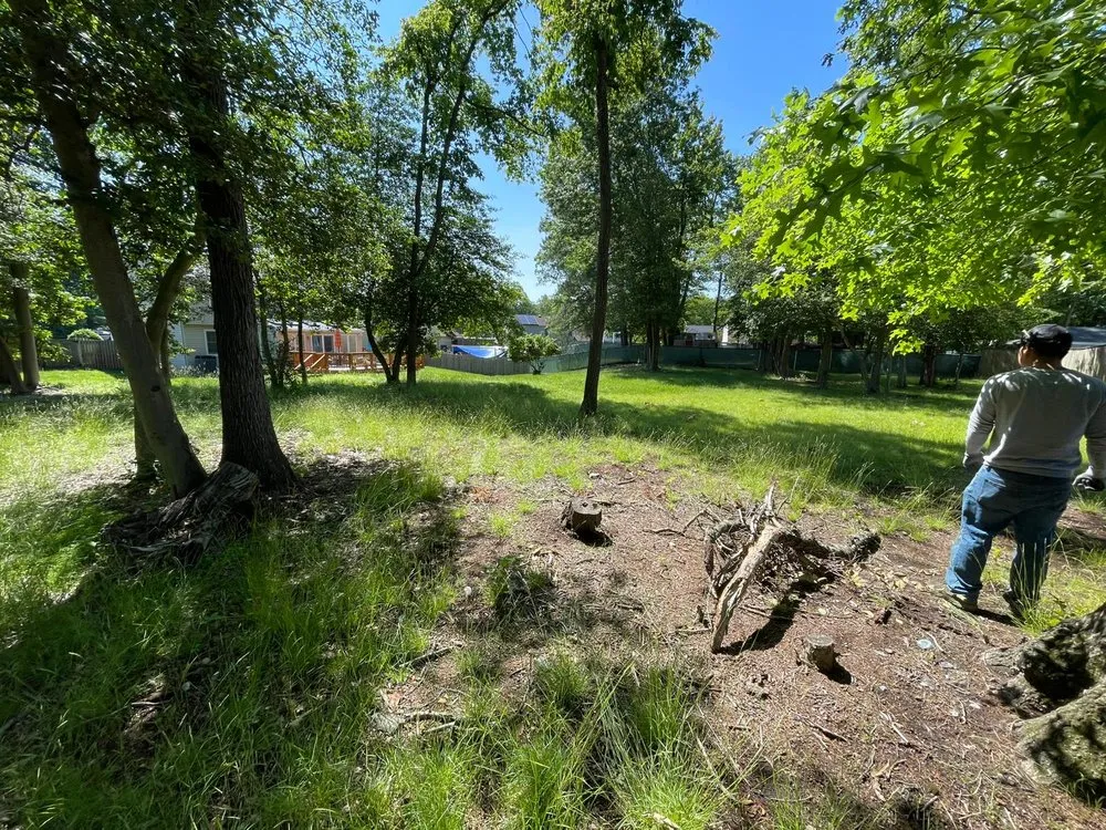 Expert residential landscaping in Fort Washington, MD - Chavez Landscaping