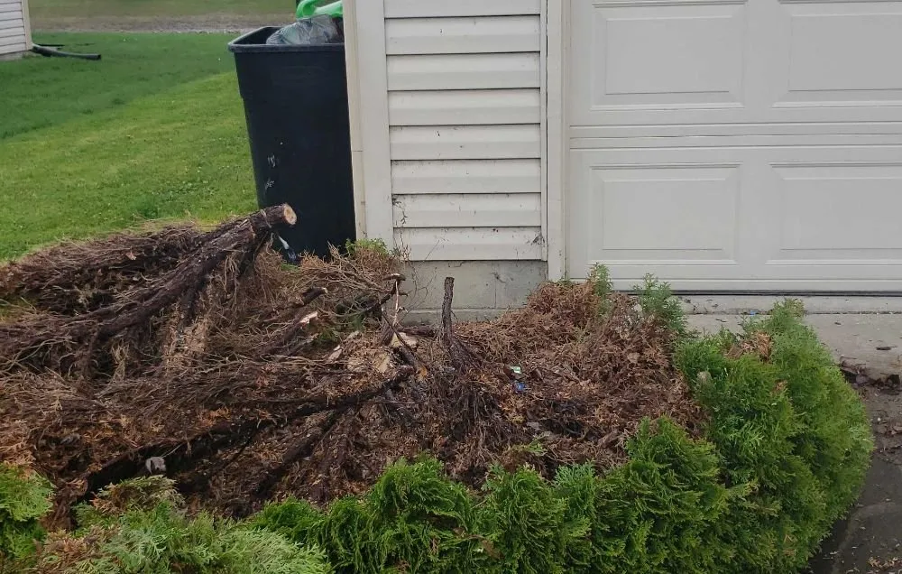 Affordable landscape design experts serving Franklin, IN - Chavez Landscaping