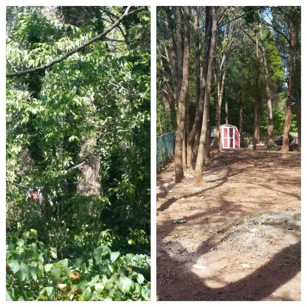 Local landscape installation for year-round maintenance across Manassas, VA - Chavez Landscaping