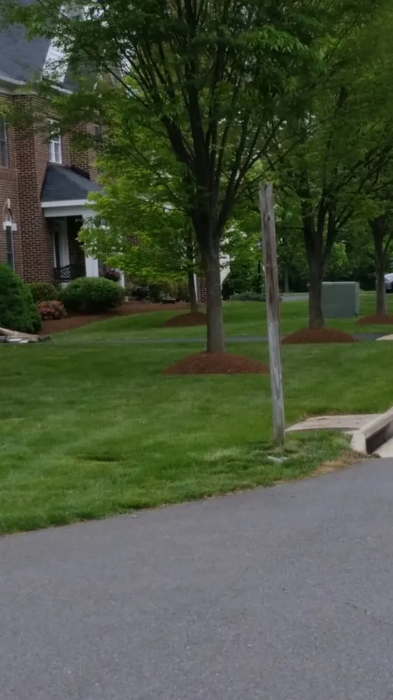 Local yard cleanup service in Manassas, VA by Chavez Landscaping