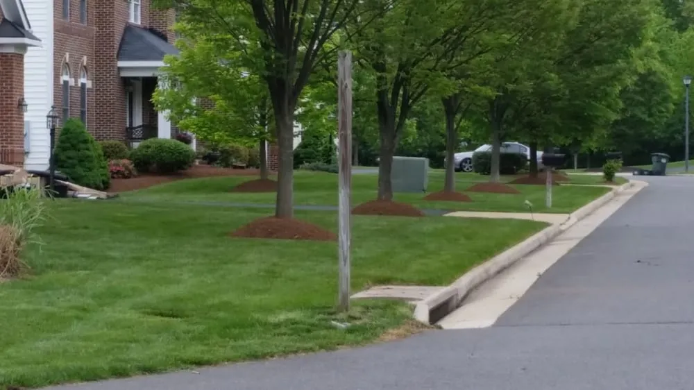 Custom outdoor landscaping for residential properties across Manassas, VA - Chavez Landscaping