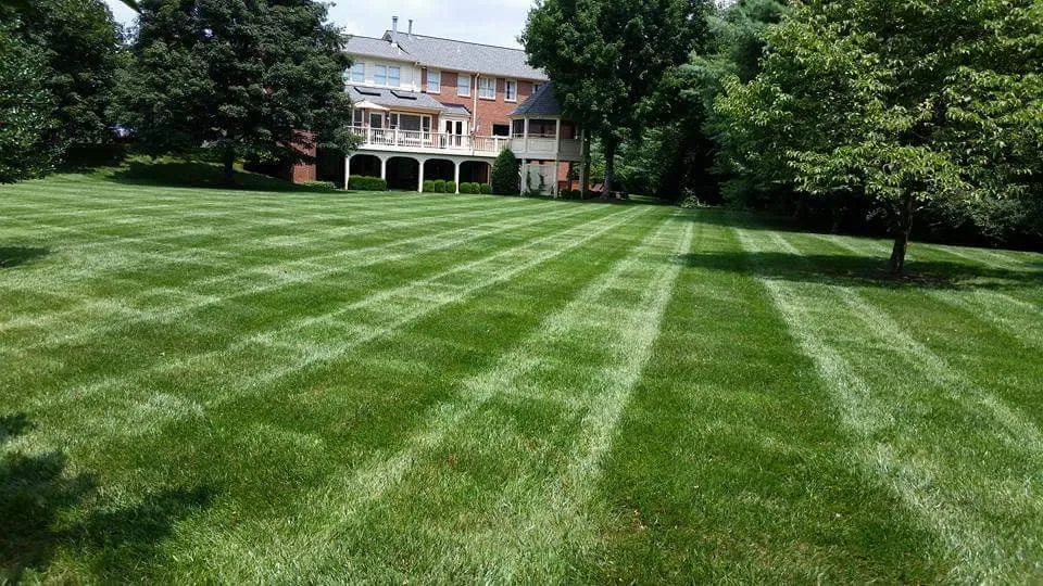 Local garden landscaping experts serving Manassas, VA - Chavez Landscaping