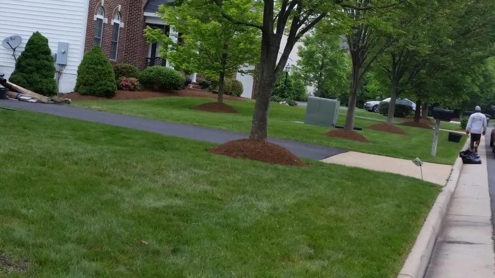 Affordable landscape installation in Manassas, VA - Chavez Landscaping