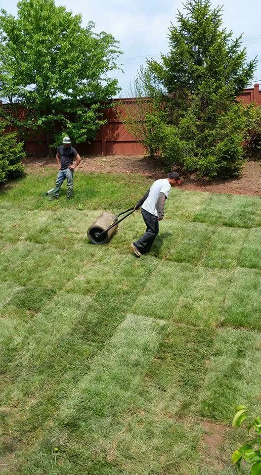 Top-rated landscaping services experts serving Manassas, VA - Chavez Landscaping