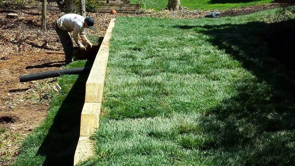 Affordable yard cleanup service in Manassas, VA by Chavez Landscaping