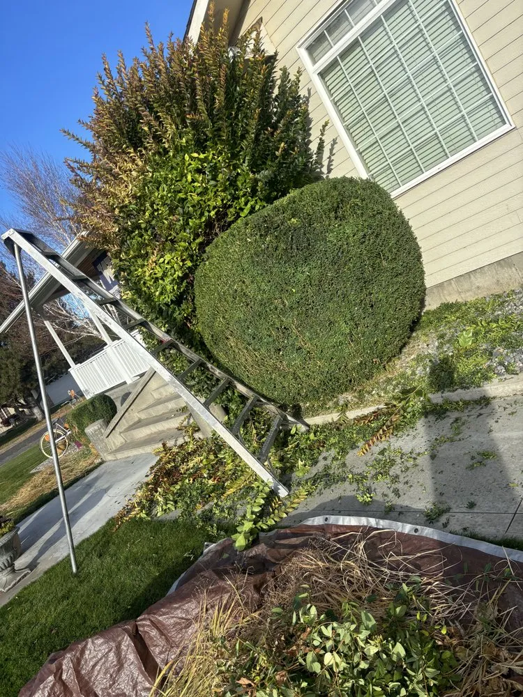 Reliable yard maintenance in Moses Lake, WA - Chavez Landscaping