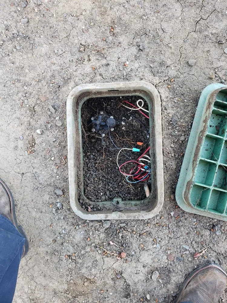 Local lawn mowing service with custom design across Newark, CA - Chavez Landscaping