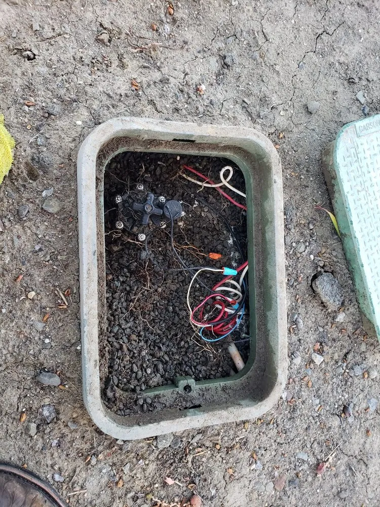 Affordable yard maintenance experts serving Newark, CA - Chavez Landscaping