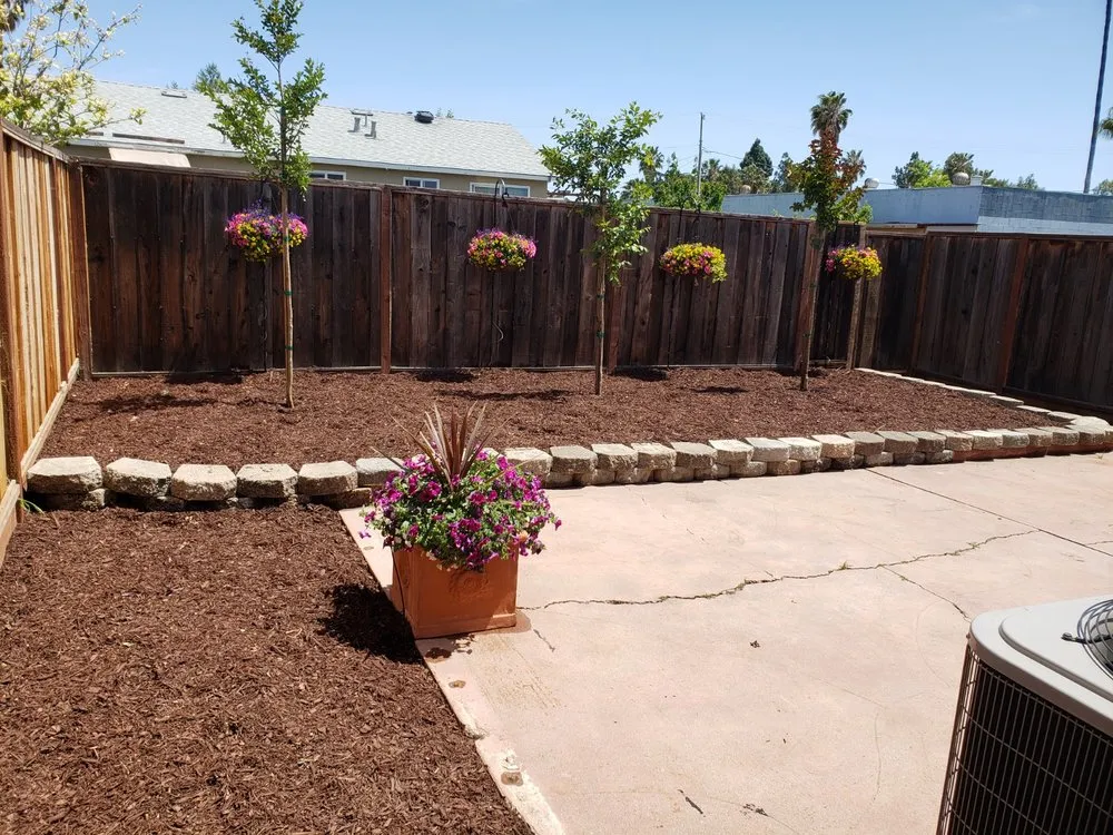 Top-rated landscape design experts serving Newark, CA - Chavez Landscaping