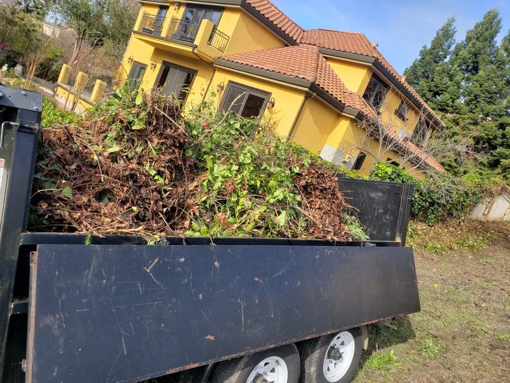 Top-rated garden landscaping experts serving Newark, CA - Chavez Landscaping