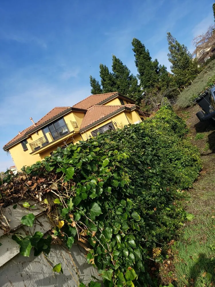 Local garden landscaping in Newark, CA by Chavez Landscaping