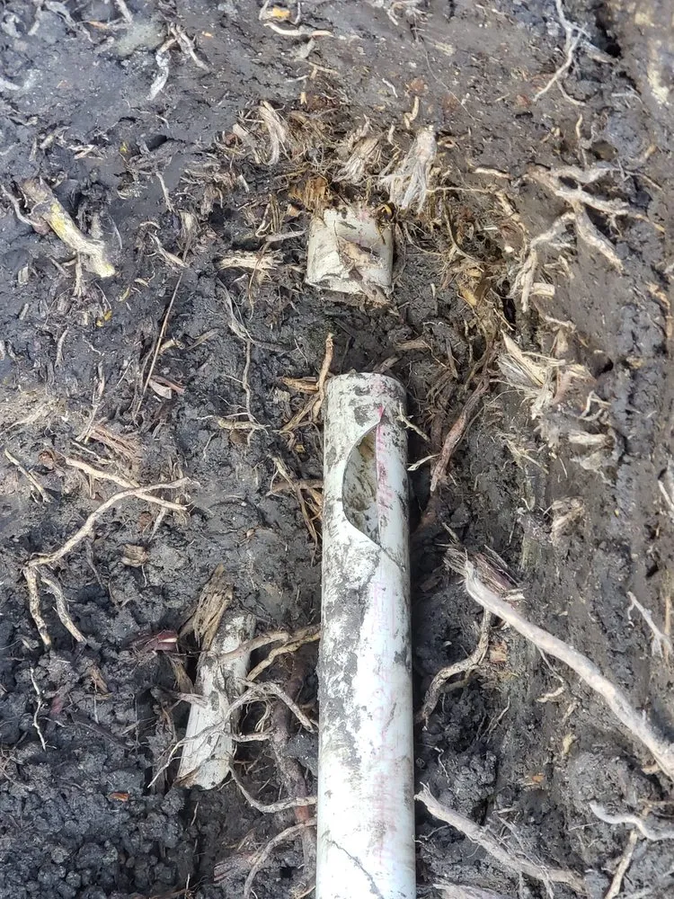 Expert landscape installation in Newark, CA - Chavez Landscaping