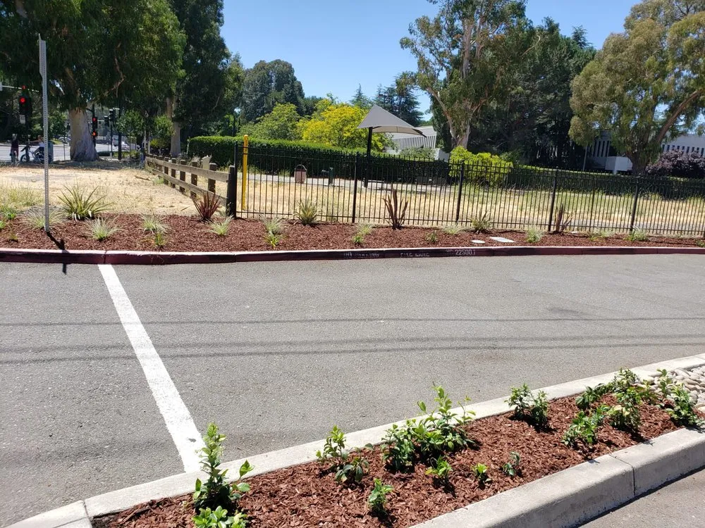 Top-rated landscape installation for beautiful yards across Newark, CA - Chavez Landscaping