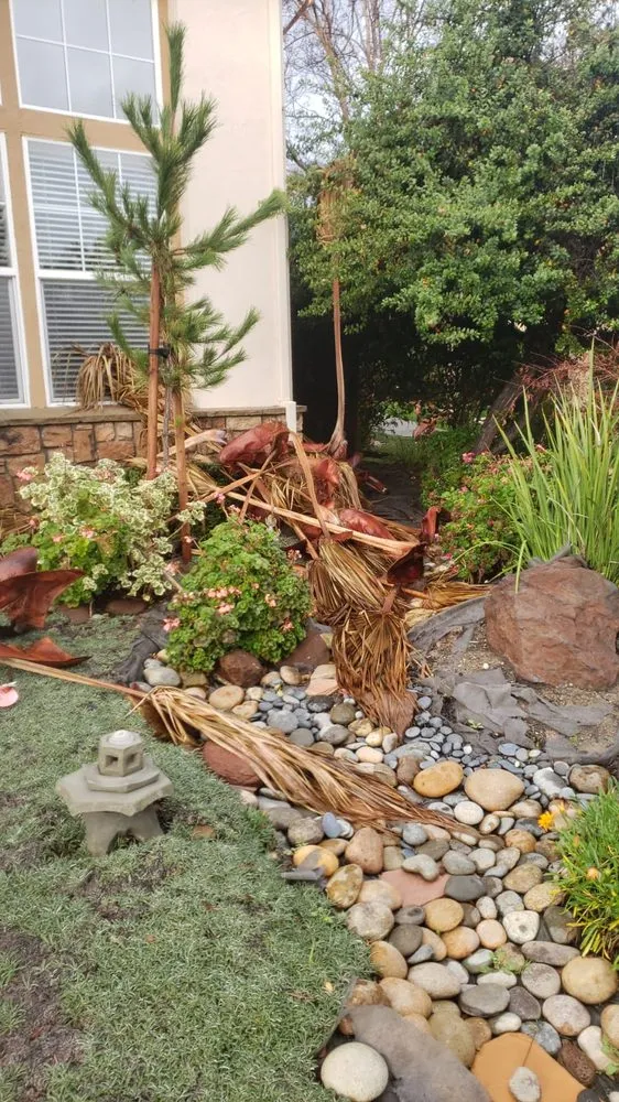 Affordable lawn mowing service in Newark, CA by Chavez Landscaping