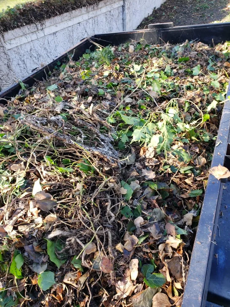 Reliable landscape installation experts serving Newark, CA - Chavez Landscaping