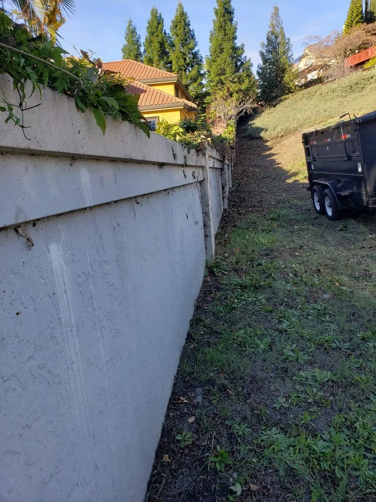 Trusted garden landscaping in Newark, CA by Chavez Landscaping