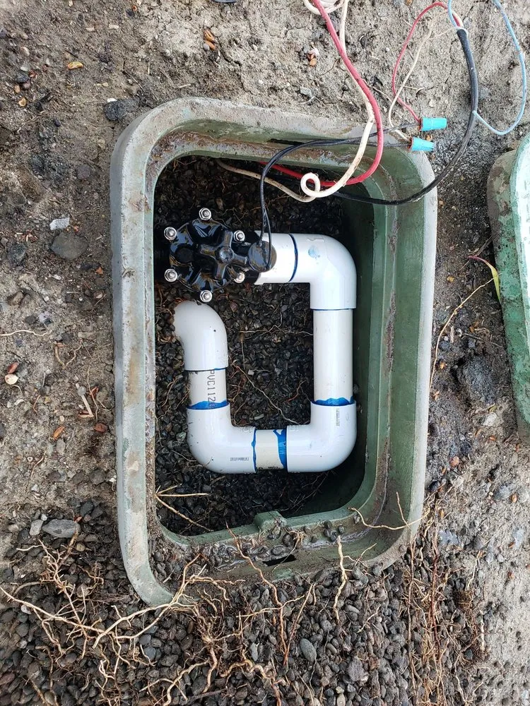 Top-rated landscaping services in Newark, CA by Chavez Landscaping