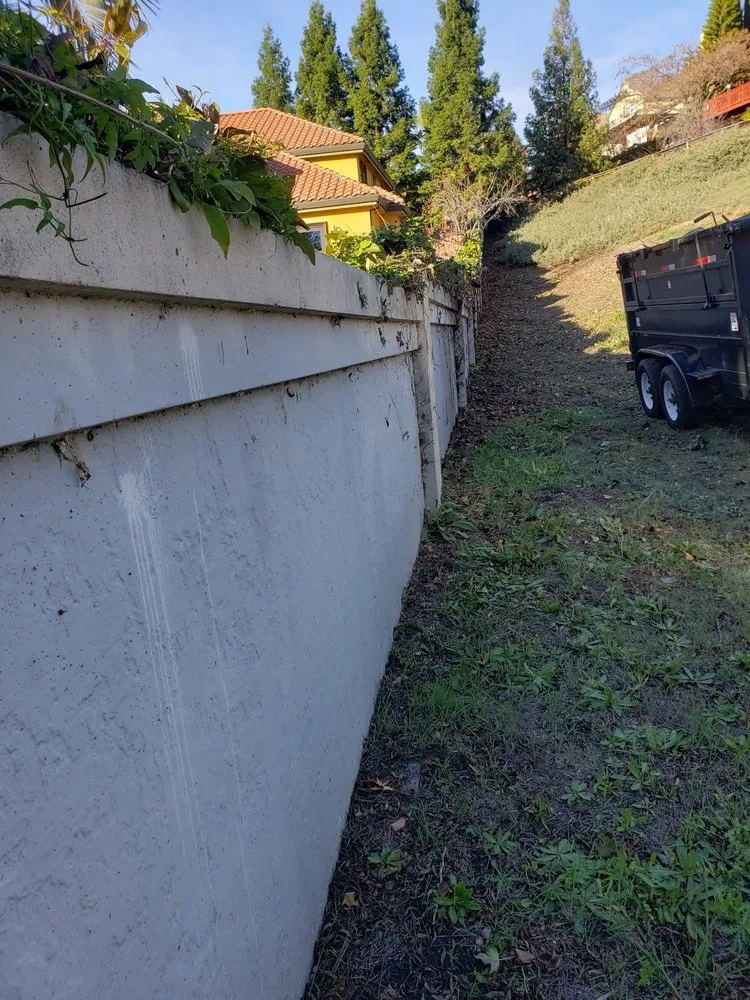 Affordable landscape design for outdoor upgrades across Newark, CA - Chavez Landscaping