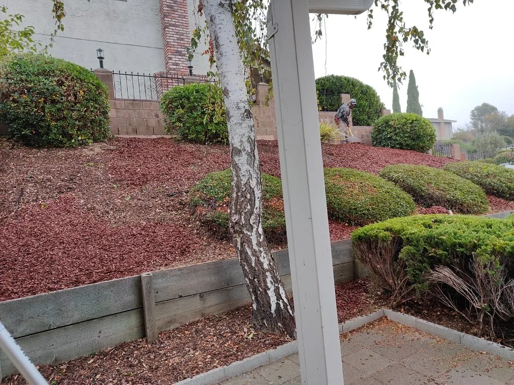 Top-rated landscape installation for homes across Petaluma, CA - Chavez Landscaping