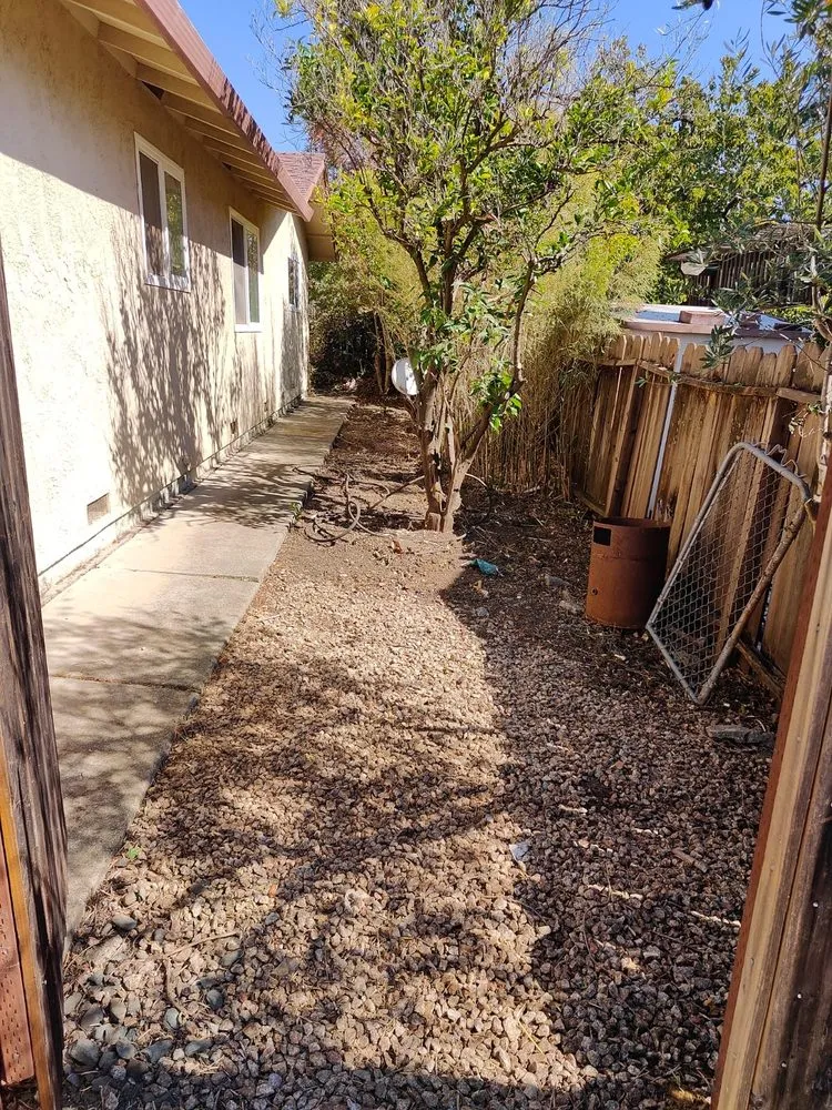 Professional yard maintenance in Petaluma, CA - Chavez Landscaping