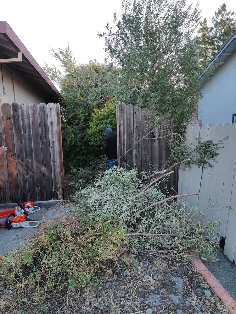 Custom garden landscaping in Petaluma, CA by Chavez Landscaping