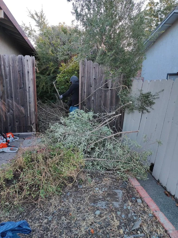 Local residential landscaping in Petaluma, CA - Chavez Landscaping