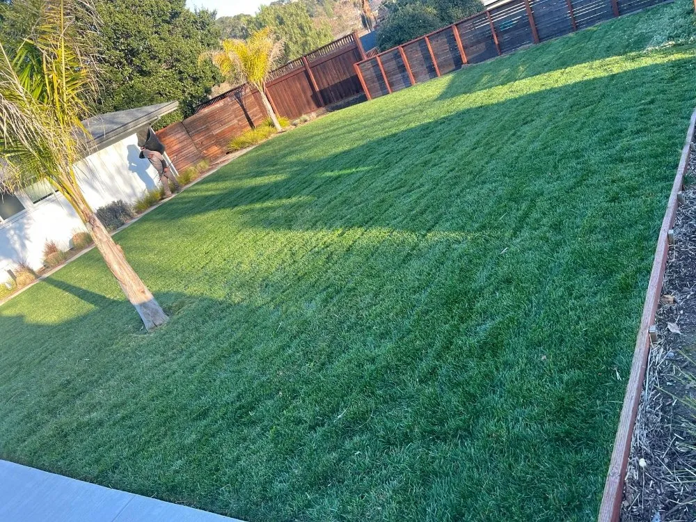 Custom yard maintenance in Petaluma, CA - Chavez Landscaping