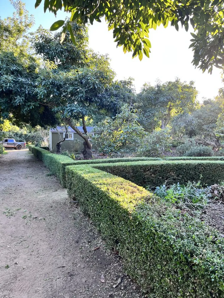 Affordable lawn care service in Santa Barbara, CA - Chavez Landscaping