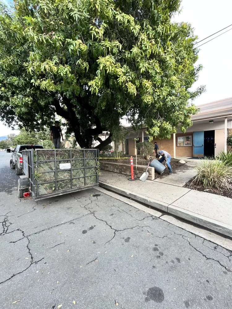 Affordable yard cleanup service for homes in Santa Barbara, CA by Chavez Landscaping