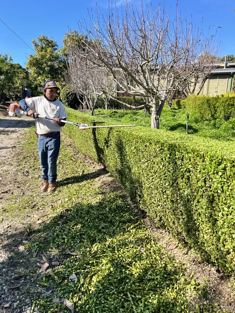 Reliable landscape installation experts serving Santa Barbara, CA - Chavez Landscaping