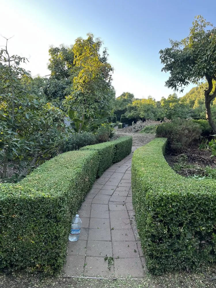 Professional garden landscaping in Santa Barbara, CA by Chavez Landscaping