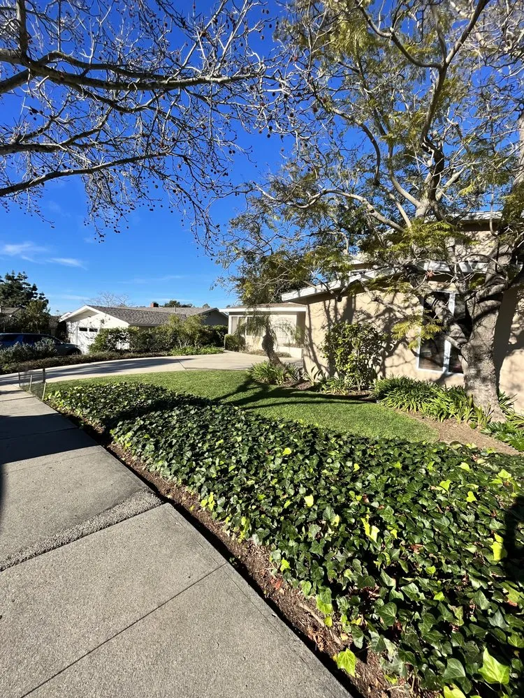 Top-rated garden landscaping with custom design in Santa Barbara, CA by Chavez Landscaping